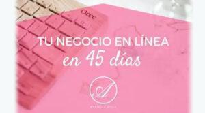 Tu Negocio en Línea en 45 Días